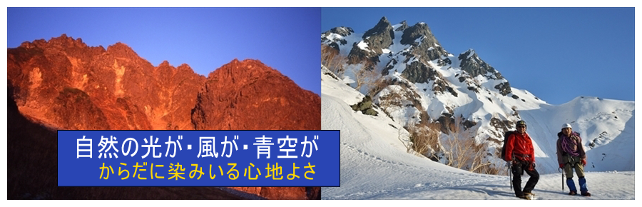 ヘッダーイメージ